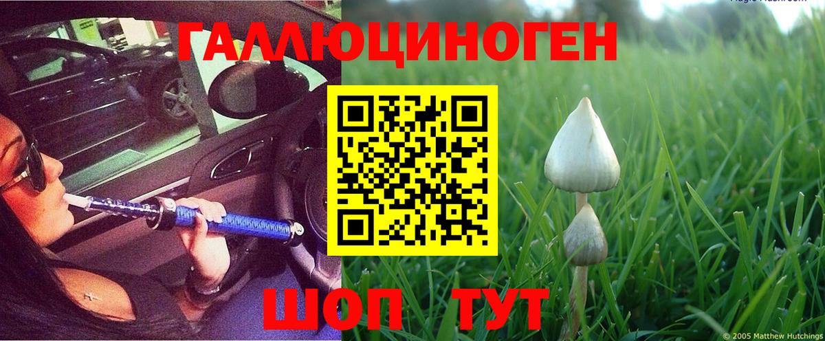 Нефтекамск  Псилоцибиновые грибы GOLDEN TEACHER  магазин    Галлюциногенные грибы Psilocybe  Вход с VPN 